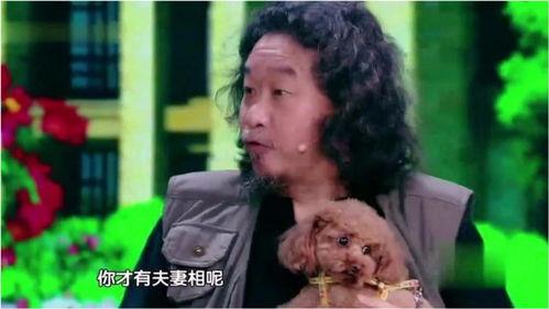 搞笑的搞笑小品,爆笑小品集锦